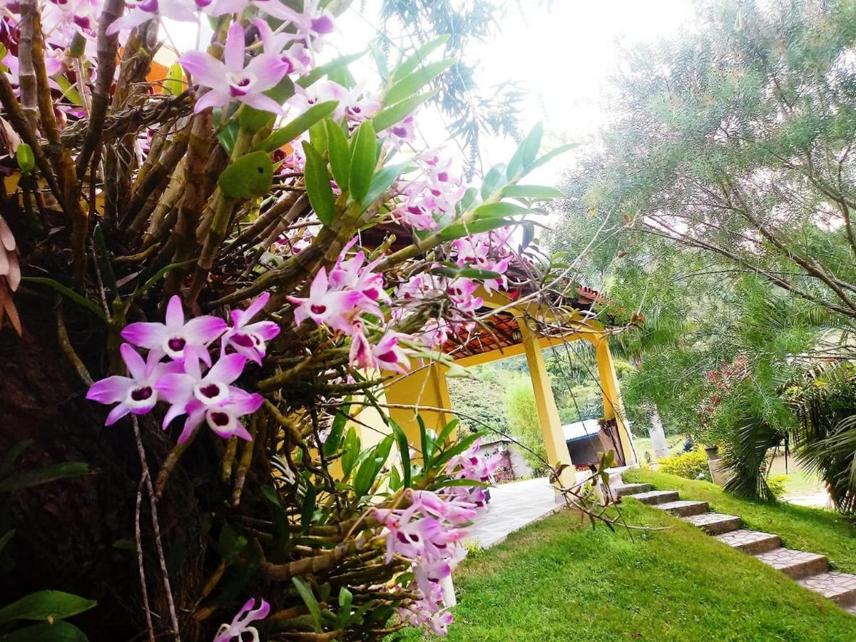 פדרה אזול Casa Com Flores מראה חיצוני תמונה
