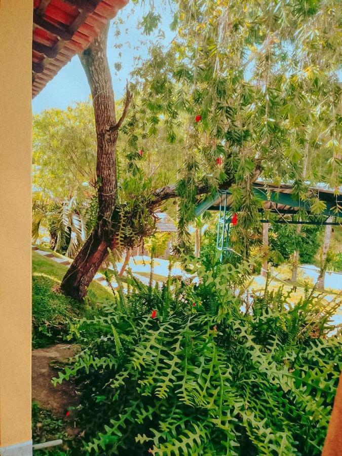 פדרה אזול Casa Com Flores מראה חיצוני תמונה