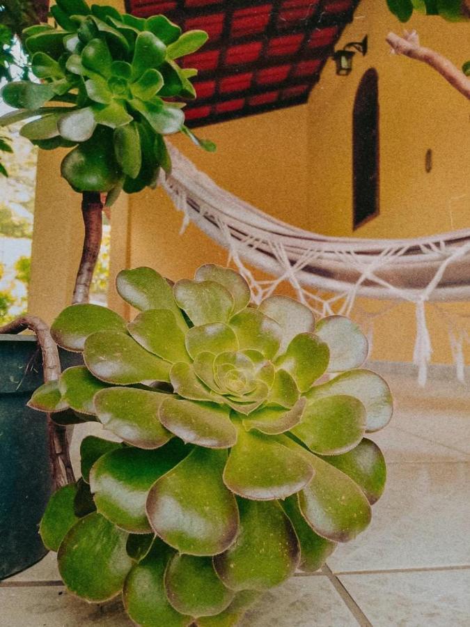פדרה אזול Casa Com Flores מראה חיצוני תמונה